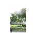 15 Shadowbrook Estates, South Hadley, MA - MLS 71025708