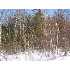 338 Charleston Road, Dexter, ME - MLS 961841