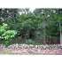 (Lot B) Woodland St, Sherborn, MA - MLS 71028725