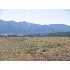 0 Routt St, Colorado City, CO - MLS 127736