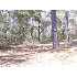 48 Springfield Road, Beaufort, SC - MLS 1228903