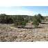LOT 35 Oakland Hills, Boerne, TX - MLS 822185