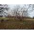 00 George Street, Humboldt, TN - MLS 139243