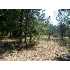Parcel 4 Slim Road, Cordele, GA - MLS 51484