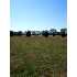 Lot 5 Presley Road, Cordele, GA - MLS 51488