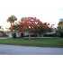 620 REDWOOD CT, SATELLITE BEACH, FL - MLS 561713
