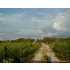 Off Of ARRINGTON (OLD) RD, COLLEGE STATION, TX - MLS 53080