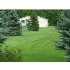 686 Waverly, DIMONDALE, MI - MLS 10814