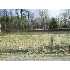 2610 Hatchett Road, , VA - MLS 1008316