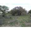 New Braunfels Real Estate