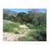 3395 Lincoln Avenue, Altadena, CA - MLS W10030818