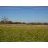 6 Wilson Ln, McDaniels, KY - MLS 28414