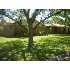 224 E Holmes Ave., Bronte, TX - MLS 71778