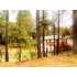 2377 Shoshone, Mariposa, CA - MLS 5200007