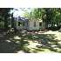 11716 No Cool Lake Dr, Irons, MI - MLS 10028291