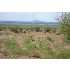 Camilon Rd SE, Deming, NM - MLS 20113188