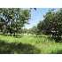 212 Pinnacle Parkway, New Braunfels, TX - MLS 172348