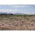Dove Meadows Estates, Deming, NM - MLS 20113259