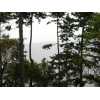 Friday Harbor Real Estate
