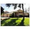 WESLEY CHAPEL Real Estate
