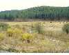 Click here to View Real Estate near 6498 se night hawk dr Prineville, OR 97754 homes near 6498 se night hawk dr Prineville, OR 97754