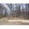 Larkin Township Real Estate