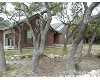 Click here to View Real Estate near 310 springside San Antonio, TX 78260 homes near 310 springside San Antonio, TX 78260