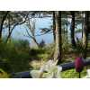 Friday Harbor Real Estate