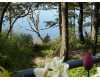 Click here to View Real Estate near 326 cessna Avenue Friday Harbor, WA 98250 homes near 326 cessna Avenue Friday Harbor, WA 98250