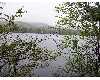 Click here to View Real Estate near 91 auburn road Peru, ME 04290 homes near 91 auburn road Peru, ME 04290