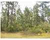 Click here to View Real Estate near 3017 pga blvd NAVARRE, FL 32566 homes near 3017 pga blvd NAVARRE, FL 32566