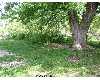 Click here to View Real Estate near 111 mara ln WINCHESTER, VA 22603 homes near 111 mara ln WINCHESTER, VA 22603