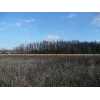 Ingersoll Township Real Estate