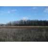 Ingersoll Township Real Estate
