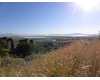 Click here to View Real Estate near 1593 north 2225 w Clinton, UT 84015 homes near 1593 north 2225 w Clinton, UT 84015