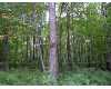 Click here to View Real Estate near 5501 so state rd Chase, MI 49623 homes near 5501 so state rd Chase, MI 49623