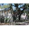 Port Royal Real Estate