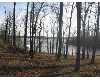 Click here to View Real Estate near 289 greenapple drive Gilbertsville, KY 42044 homes near 289 greenapple drive Gilbertsville, KY 42044