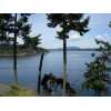 Lot 40 Brown Island