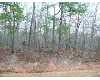 Click here to View Real Estate near 113 virginia Avenue nue Norway, SC 29113 homes near 113 virginia Avenue nue Norway, SC 29113