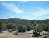 Click here to View Real Estate near 0000 yucca Avenue Kingman, AZ 86401 homes near 0000 yucca Avenue Kingman, AZ 86401