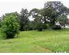 Click here to View Real Estate near 139 elm street Dyer, TN 38330 homes near 139 elm street Dyer, TN 38330