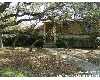 Click here to View Real Estate near 4219 ramsgate st San Antonio, TX 78230 homes near 4219 ramsgate st San Antonio, TX 78230