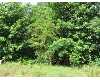 Click here to View Real Estate near 116 fortune street Forest City, NC 28043 homes near 116 fortune street Forest City, NC 28043
