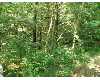 Click here to View Real Estate near 987 ea hess lake dr Grant, MI 49327 homes near 987 ea hess lake dr Grant, MI 49327