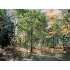 NEAR WHITETAIL ACRE RD, Saint Germain, WI - MLS 70533