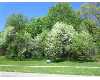 Comstock Park real estate