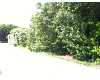 Click here to View Real Estate near 1660 hellenga drive Big Pine Key, FL 33043 homes near 1660 hellenga drive Big Pine Key, FL 33043