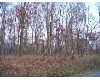 Click here to View Real Estate near 742 dellenbaugh road Tarentum, PA 15084 homes near 742 dellenbaugh road Tarentum, PA 15084