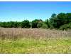 Click here to View Real Estate near 610 5th Avenue Rochelle, GA 31079 homes near 610 5th Avenue Rochelle, GA 31079